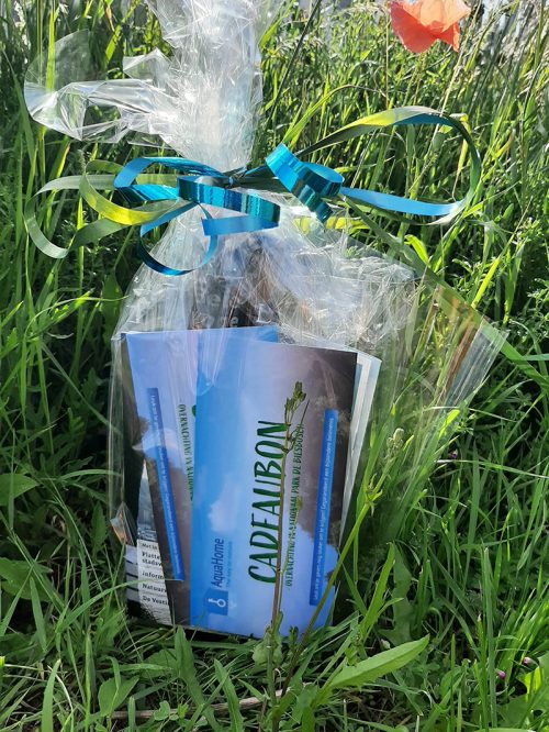 Cadeaubon-scaled Cadeaubon-scaled